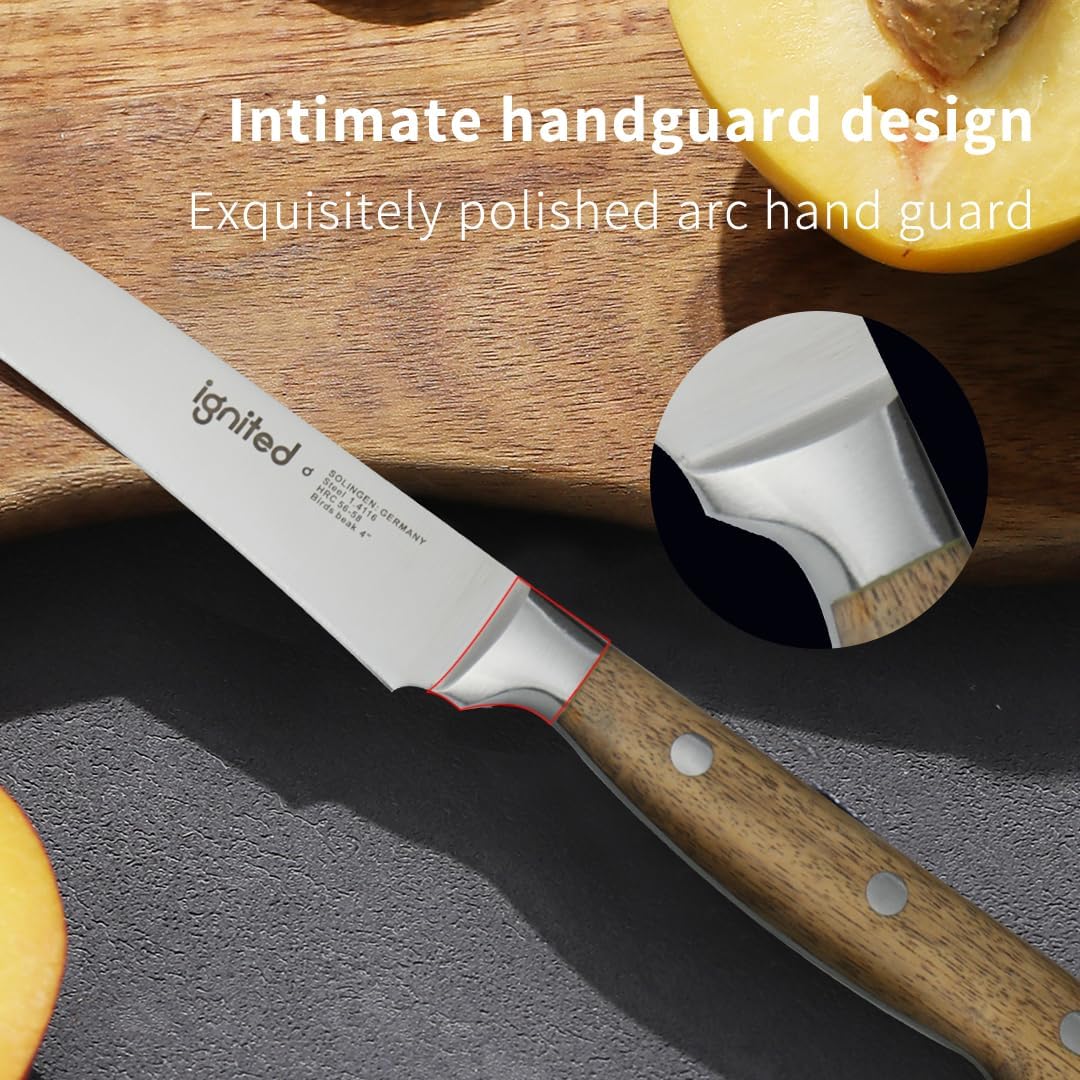 IGNITED CUTLERY Bird Beak Paring Knife – 4-inch Curved Peeling Knife, German 1.4116 Stainless Steel Fruit and Vegetable Knife with Olive Wood Handle, Razor Sharp Small Kitchen Knife with Gift Box